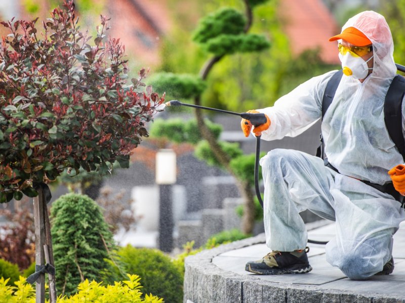 Kabataş Haşere İlaçlama